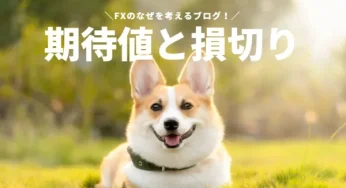 【勝つためのFX】相場で勝てない悩めるトレーダー必見！FX取引における期待値の概念と損切りについてわかりやすく解説